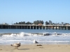 the pier at Santa Cruz
