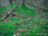 DSCF2646
