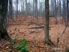 DSCF2656