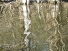 reflections