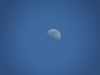 Moon by Day