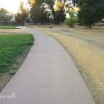 Which side gets watered?