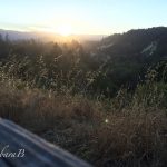 Scotts Valley view