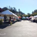 Saturday morning, just down the street