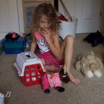 Mina's reindeer hooked up to a sleigh