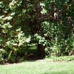 The gateway to the back yard