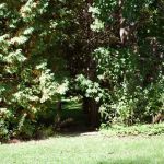 The gateway to the back yard