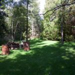 The back yard The back yard