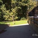 Looking out the sliding doors