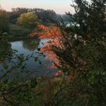 The Grand River The Grand River