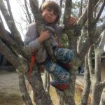 Blue Kitty in the tree