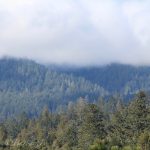 Clouds on the hill tops
