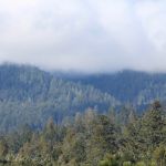 Clouds on the hill tops