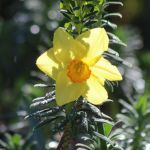 Spring is springing!