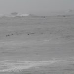 Grey weather won't stop them