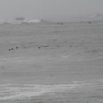 Grey weather won't stop them