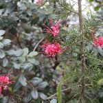 Bright colours on a grey day